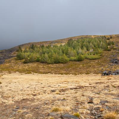 Sierra Nevada 01